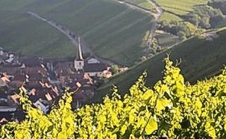 Weinort Escherndorf