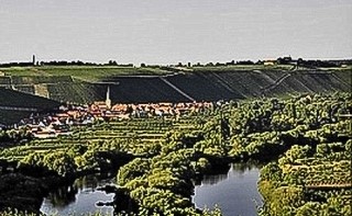 Blick nach Escherndorf und zur Vogelsburg